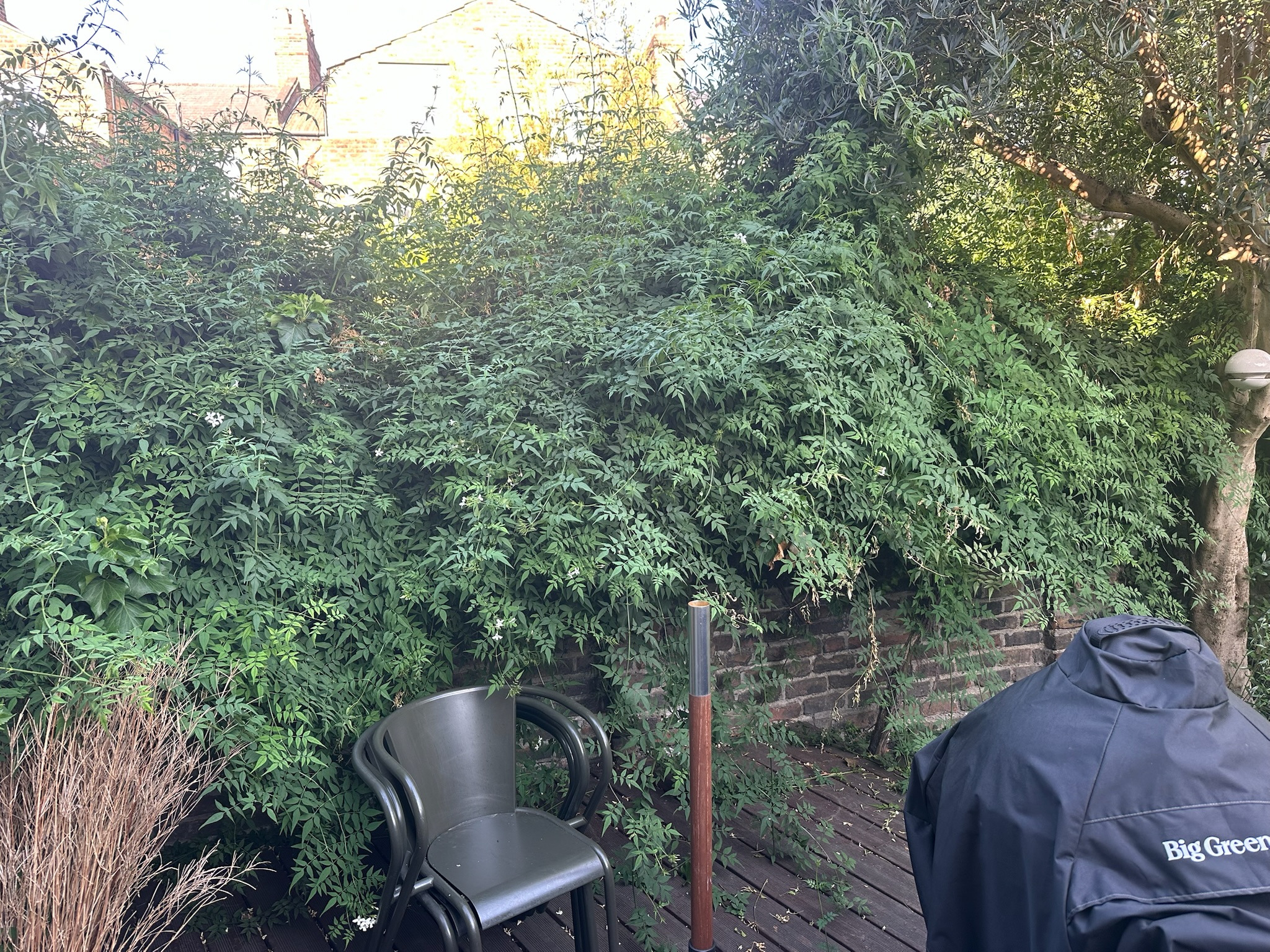 Before — hedge work project, as we found it