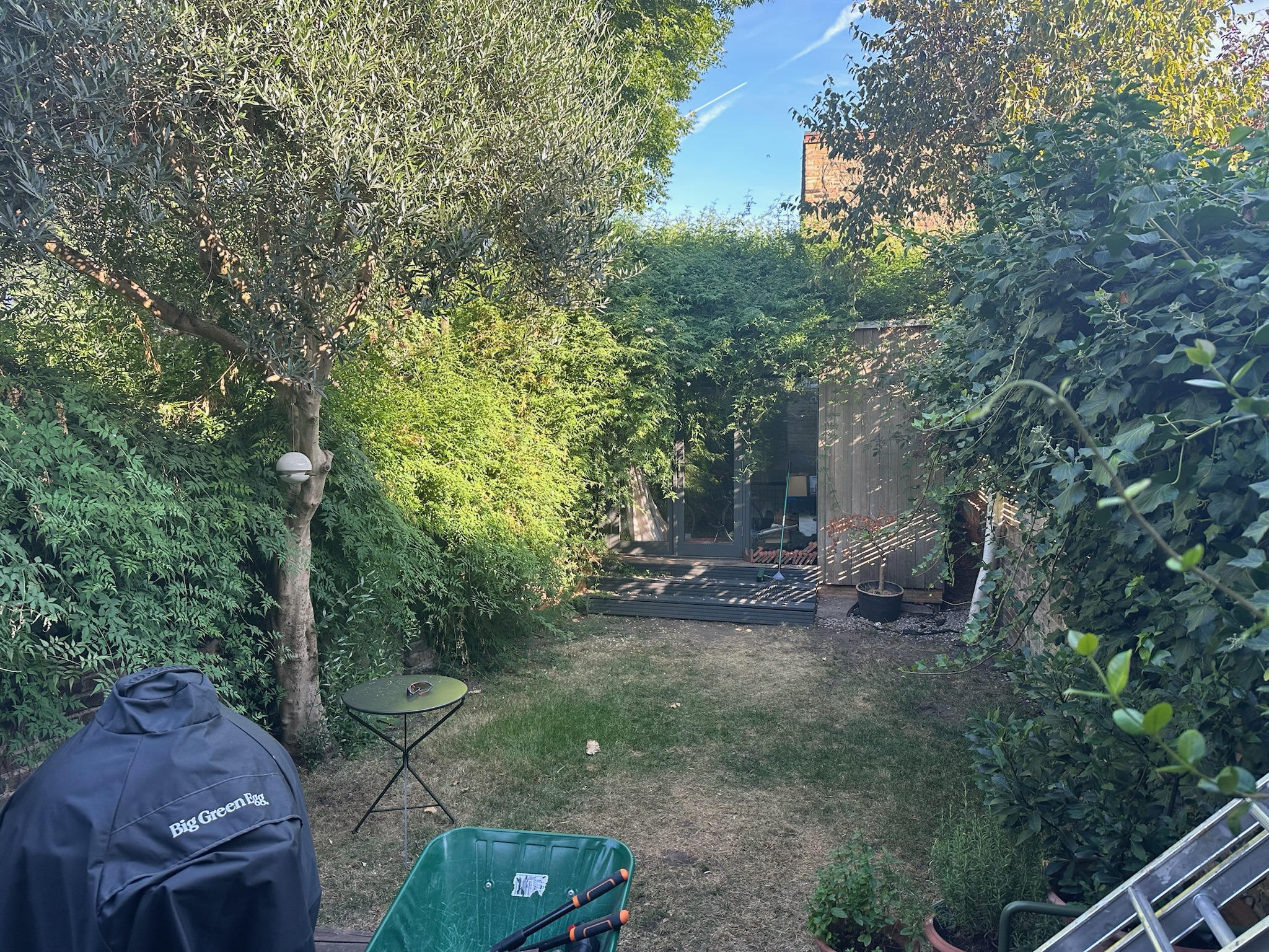 Featured project, before — an overgrown rear garden