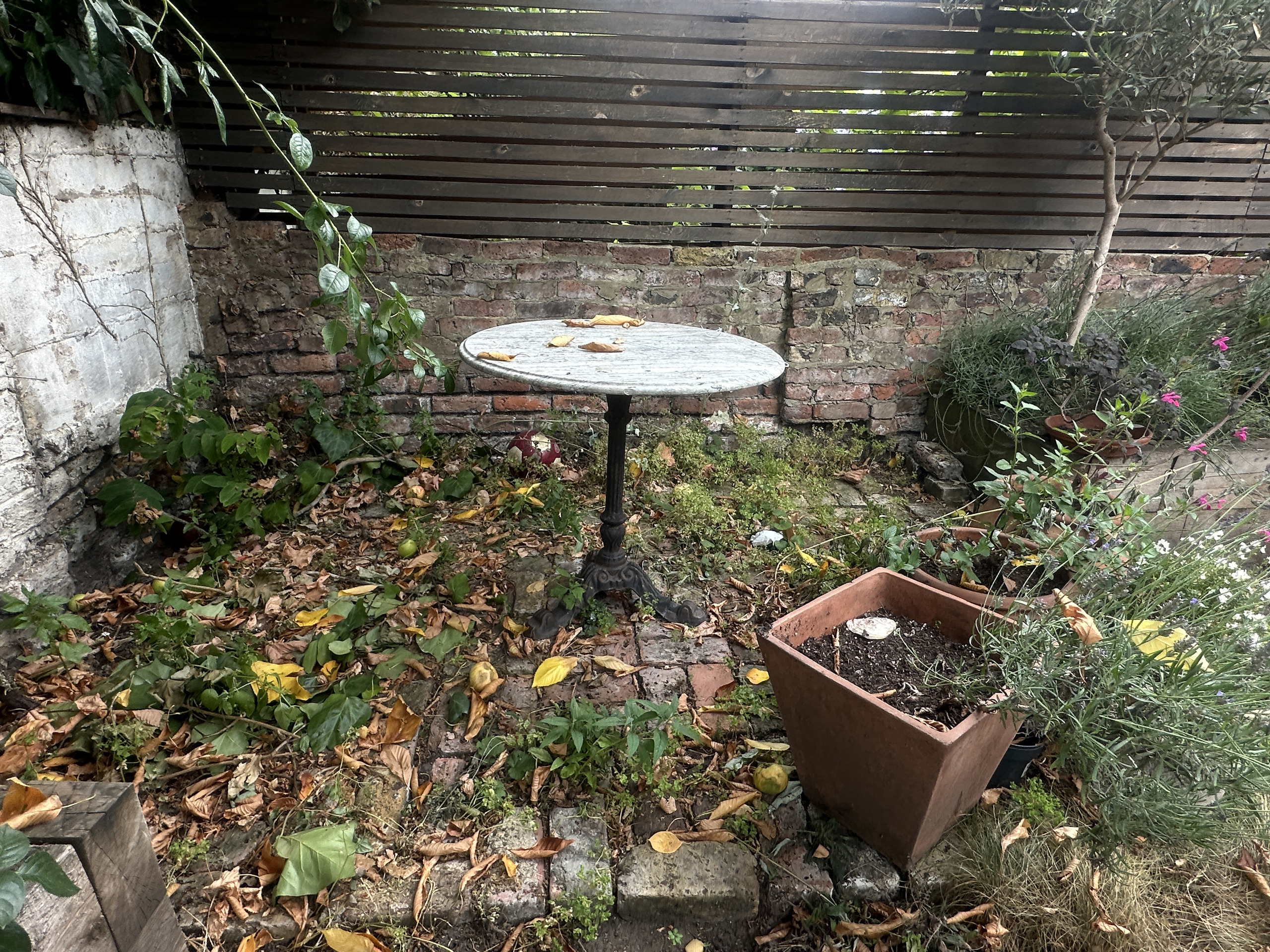 Before — powerwashing project, as we found it