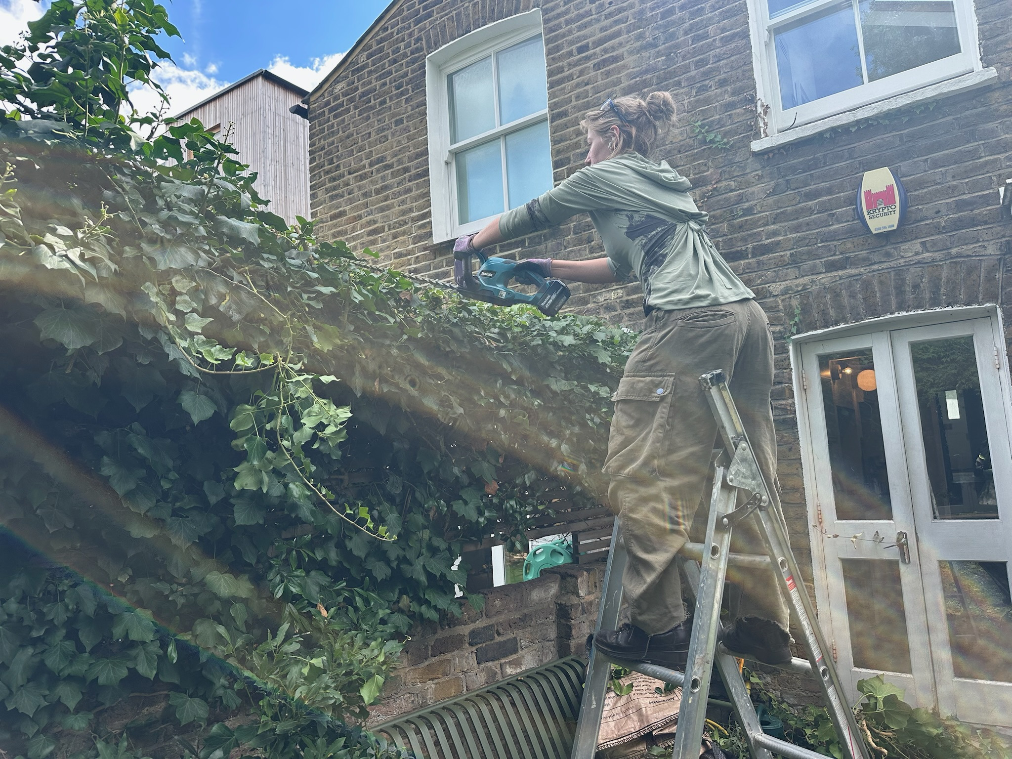 Hedge trimming